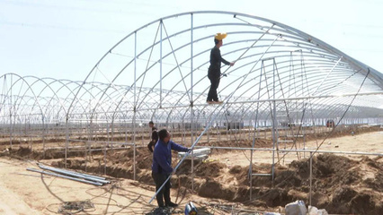 朔城區(qū) 夯實(shí)農(nóng)業(yè)基礎(chǔ)設(shè)施根基，譜寫現(xiàn)代農(nóng)業(yè)發(fā)展新篇章